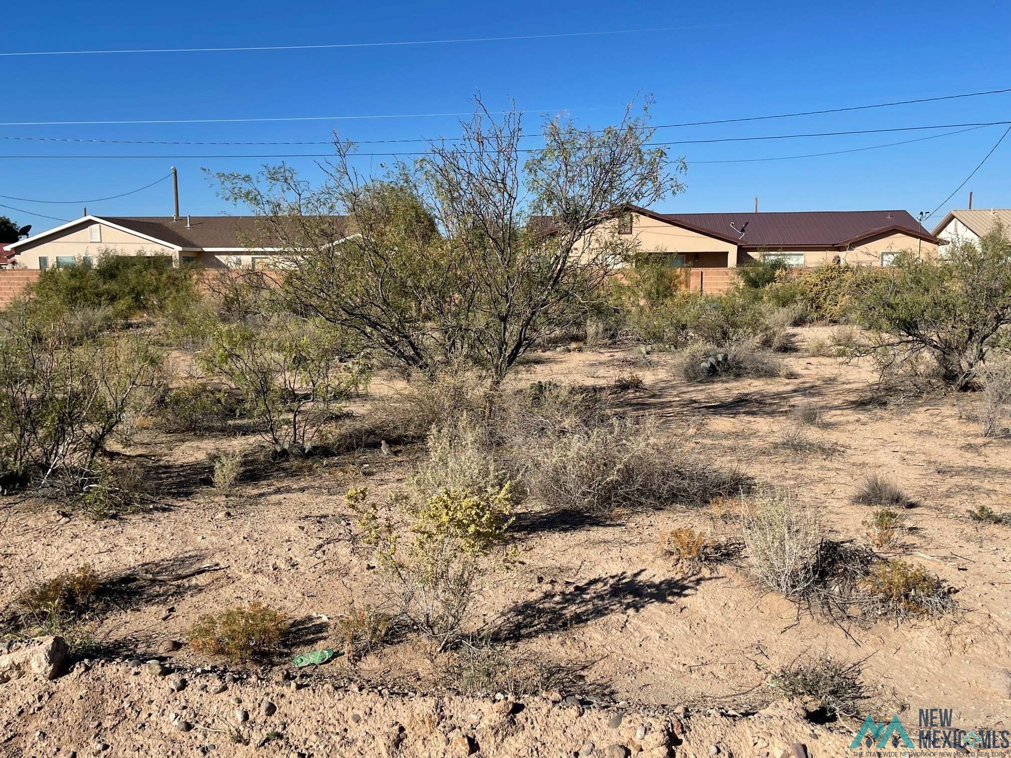 0000 Tennyson Drive, Deming, New Mexico image 4