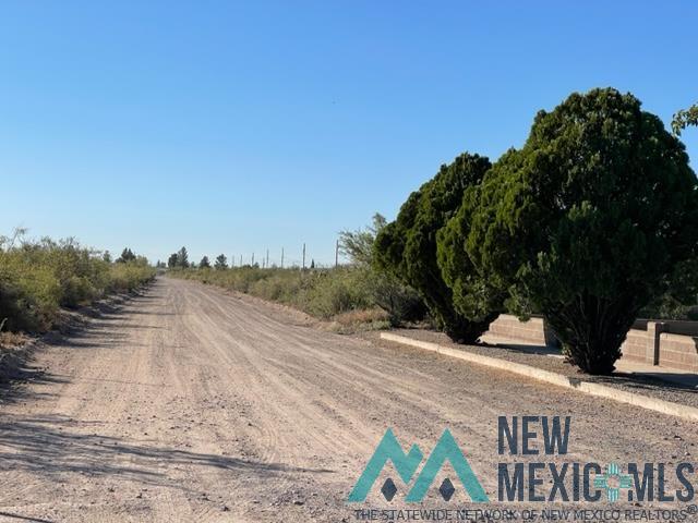 0000 Tennyson Drive, Deming, New Mexico image 2