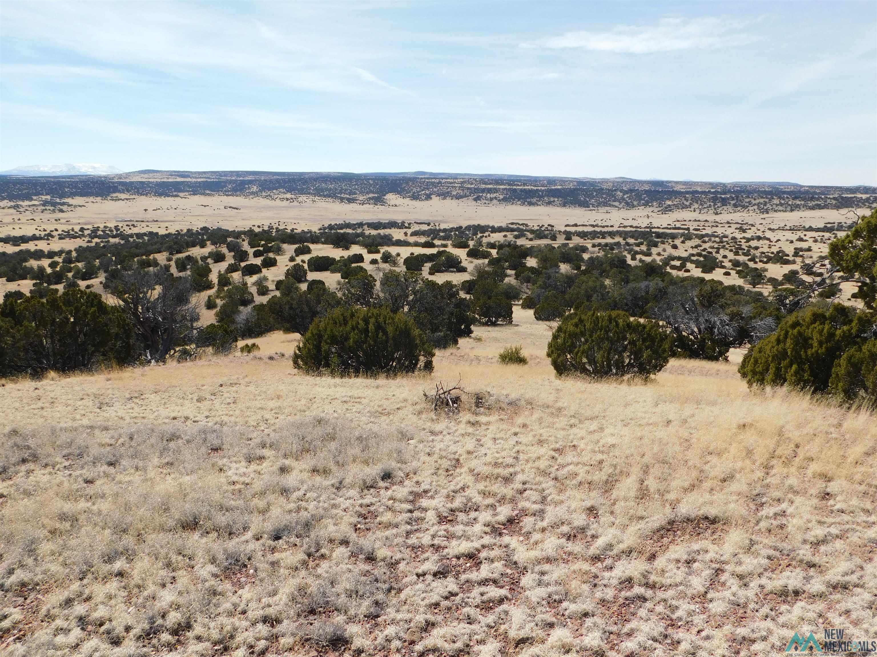 274 Deer Circle, Quemado, New Mexico image 10