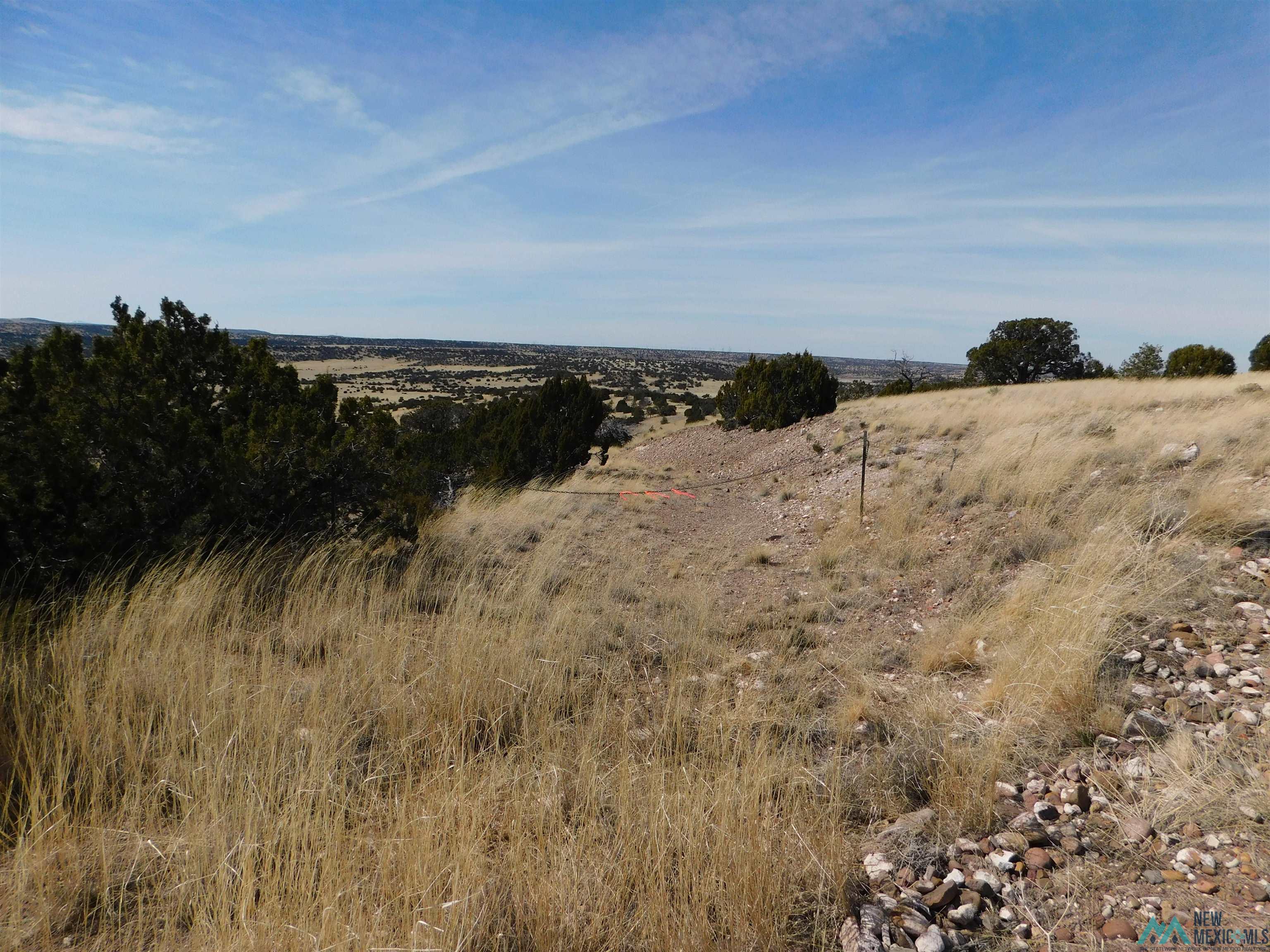 274 Deer Circle, Quemado, New Mexico image 11