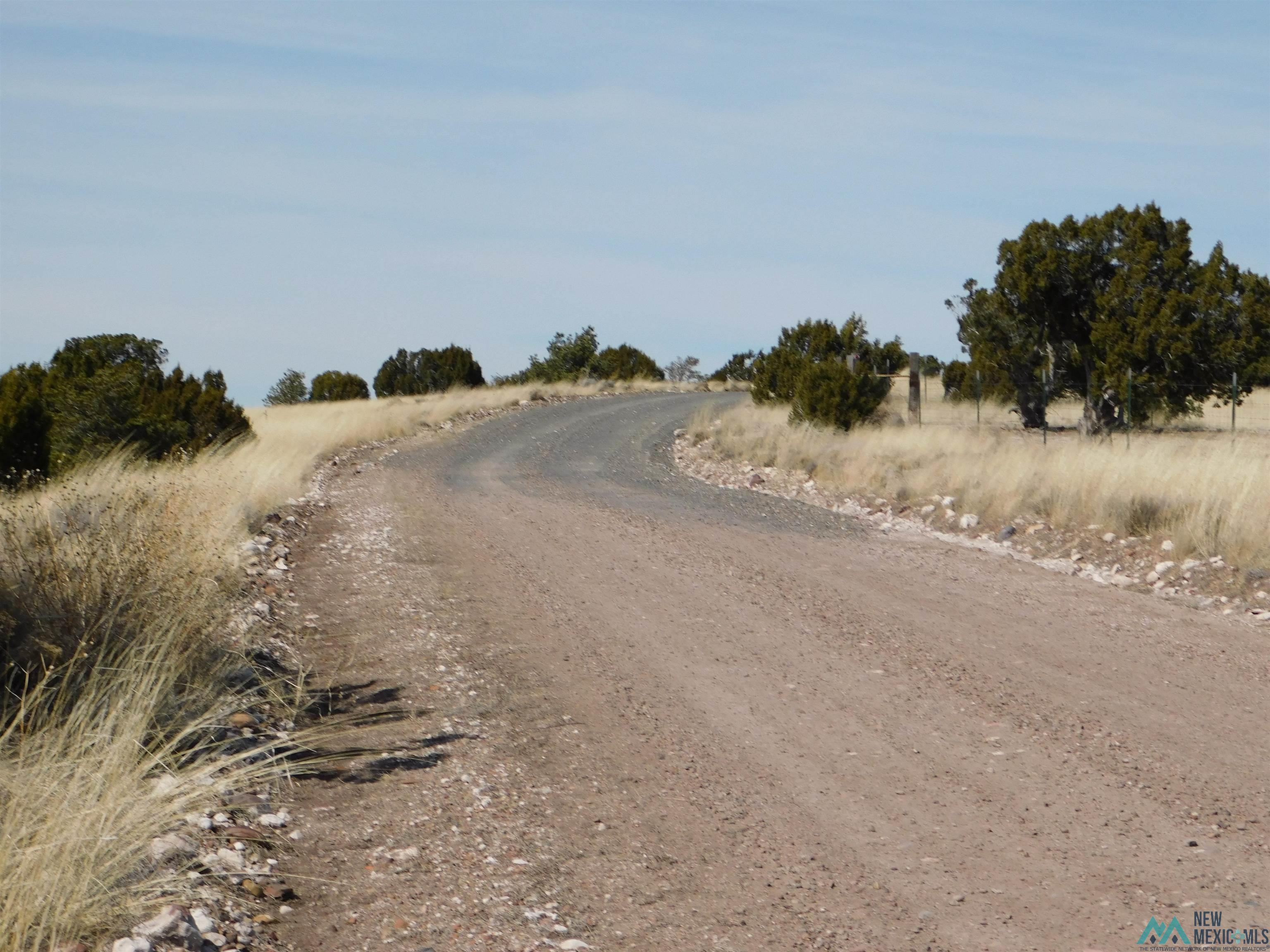 274 Deer Circle, Quemado, New Mexico image 12