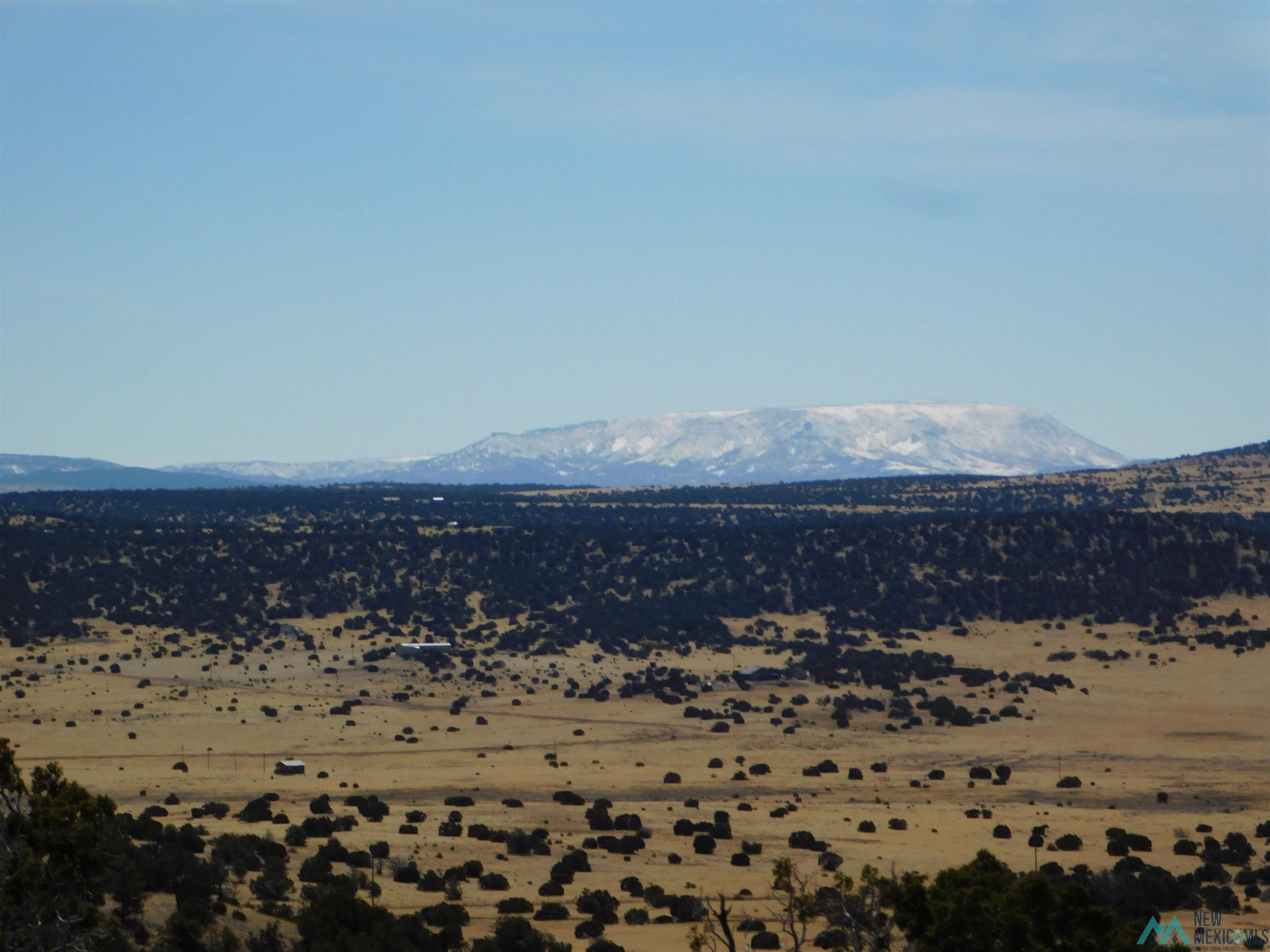 274 Deer Circle, Quemado, New Mexico image 3