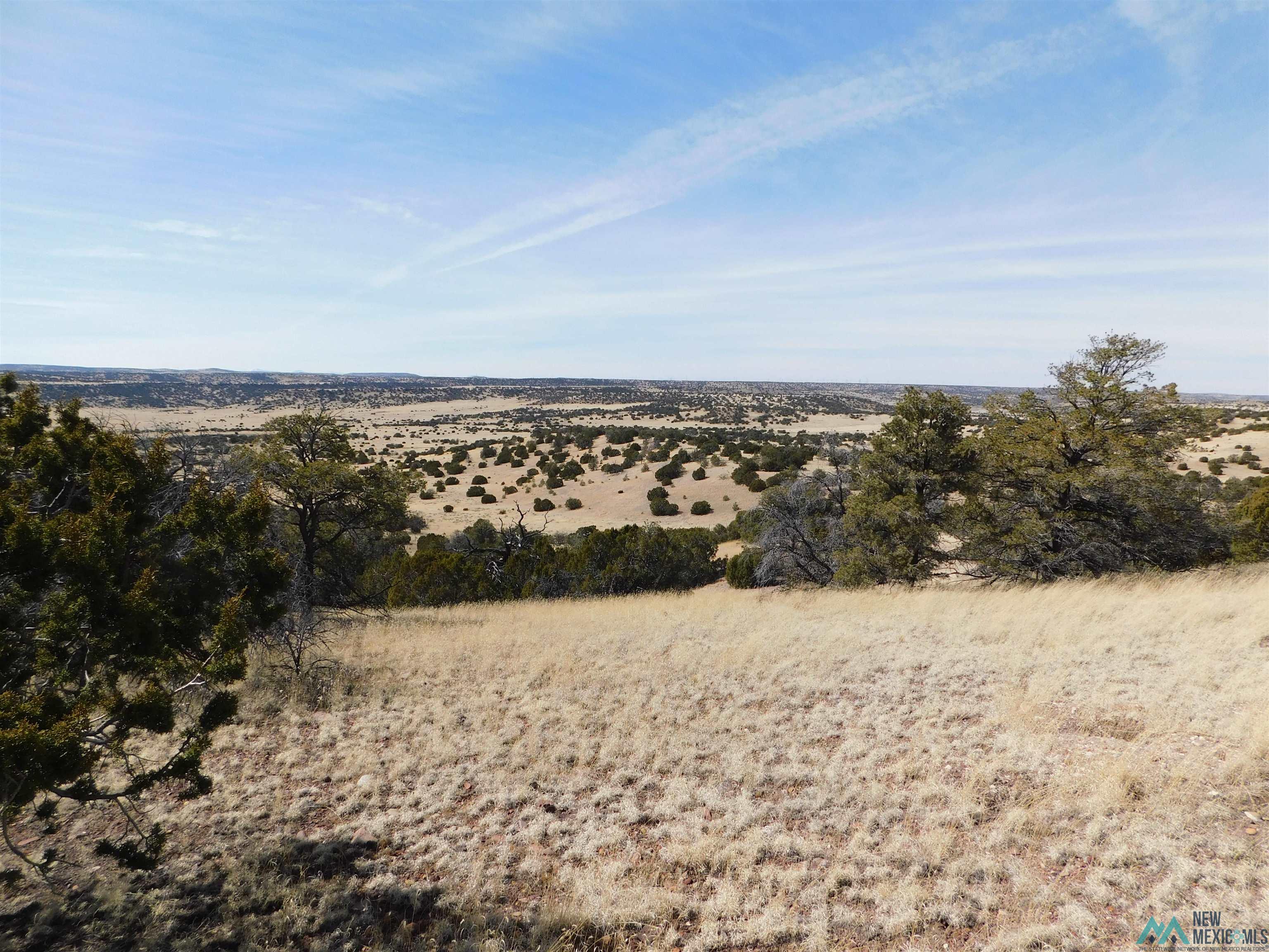 274 Deer Circle, Quemado, New Mexico image 7