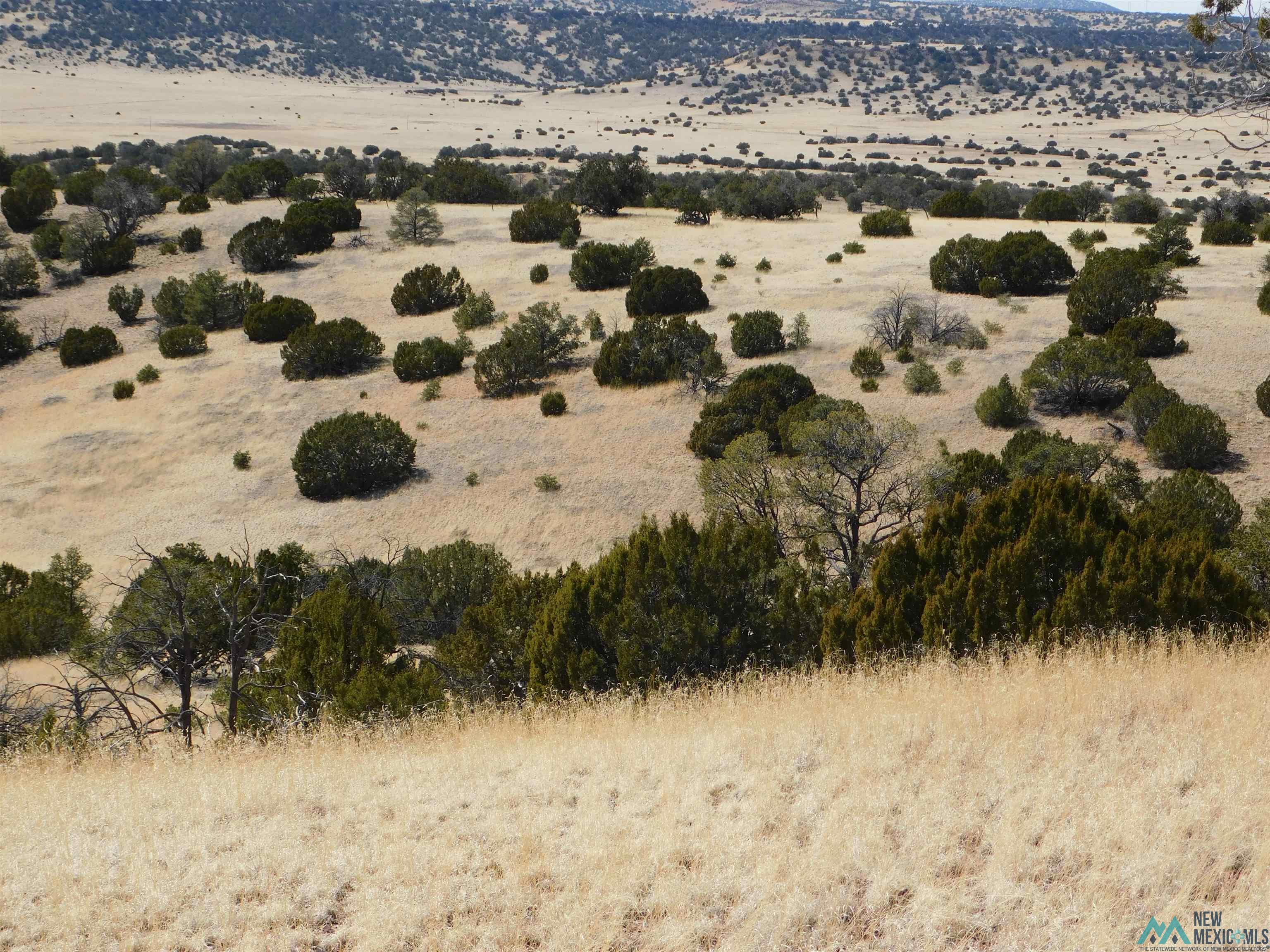 274 Deer Circle, Quemado, New Mexico image 9