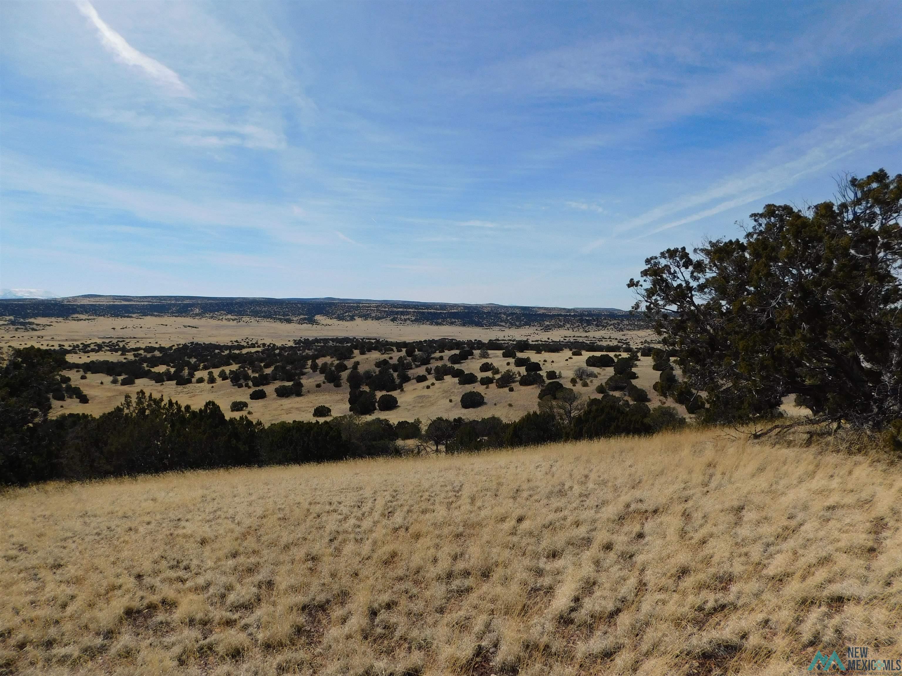 274 Deer Circle, Quemado, New Mexico image 5