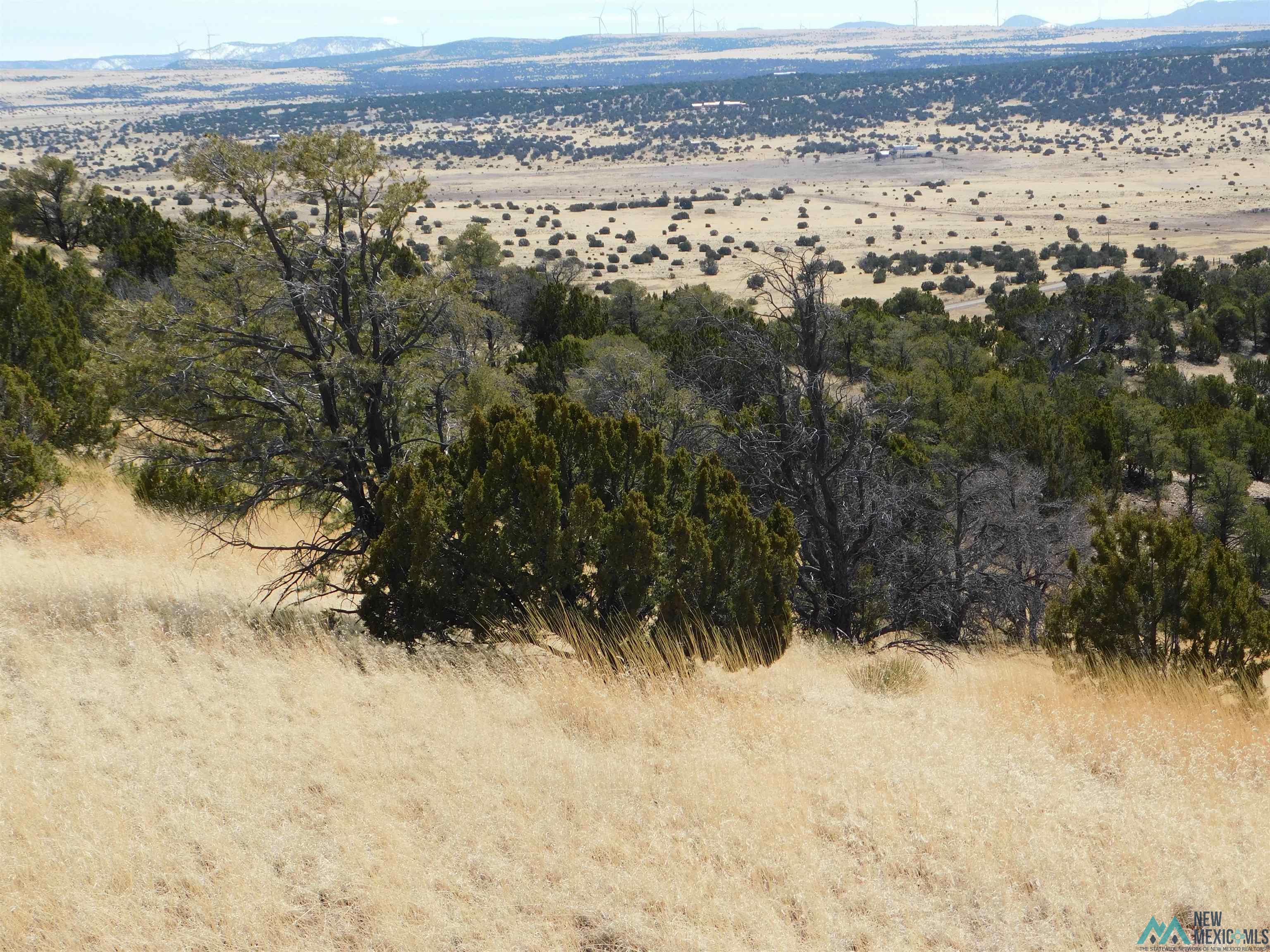 274 Deer Circle, Quemado, New Mexico image 8