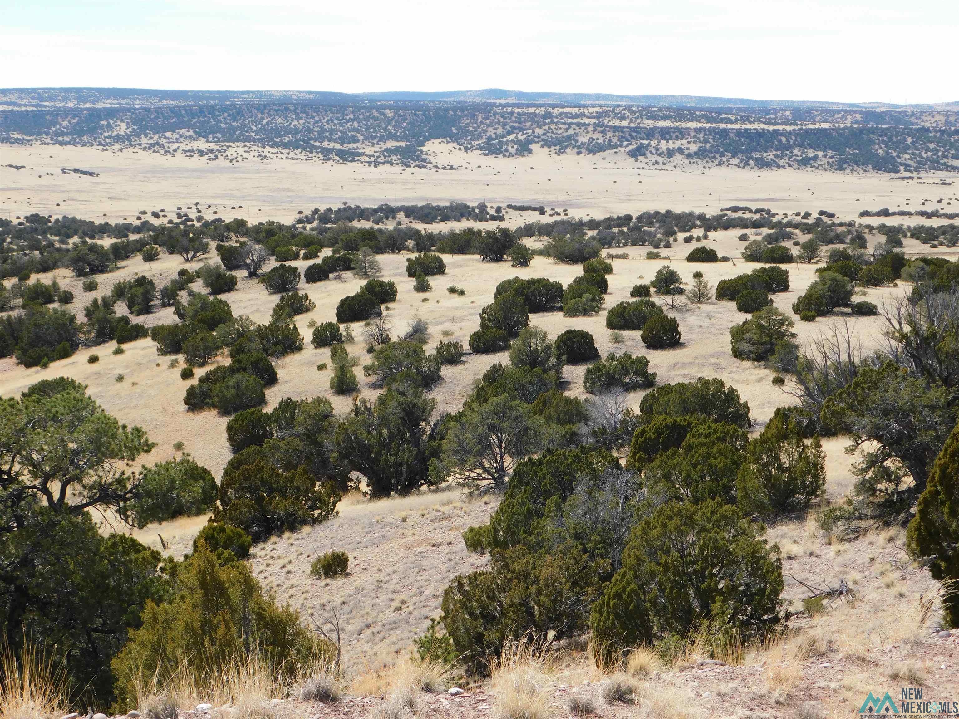 274 Deer Circle, Quemado, New Mexico image 2