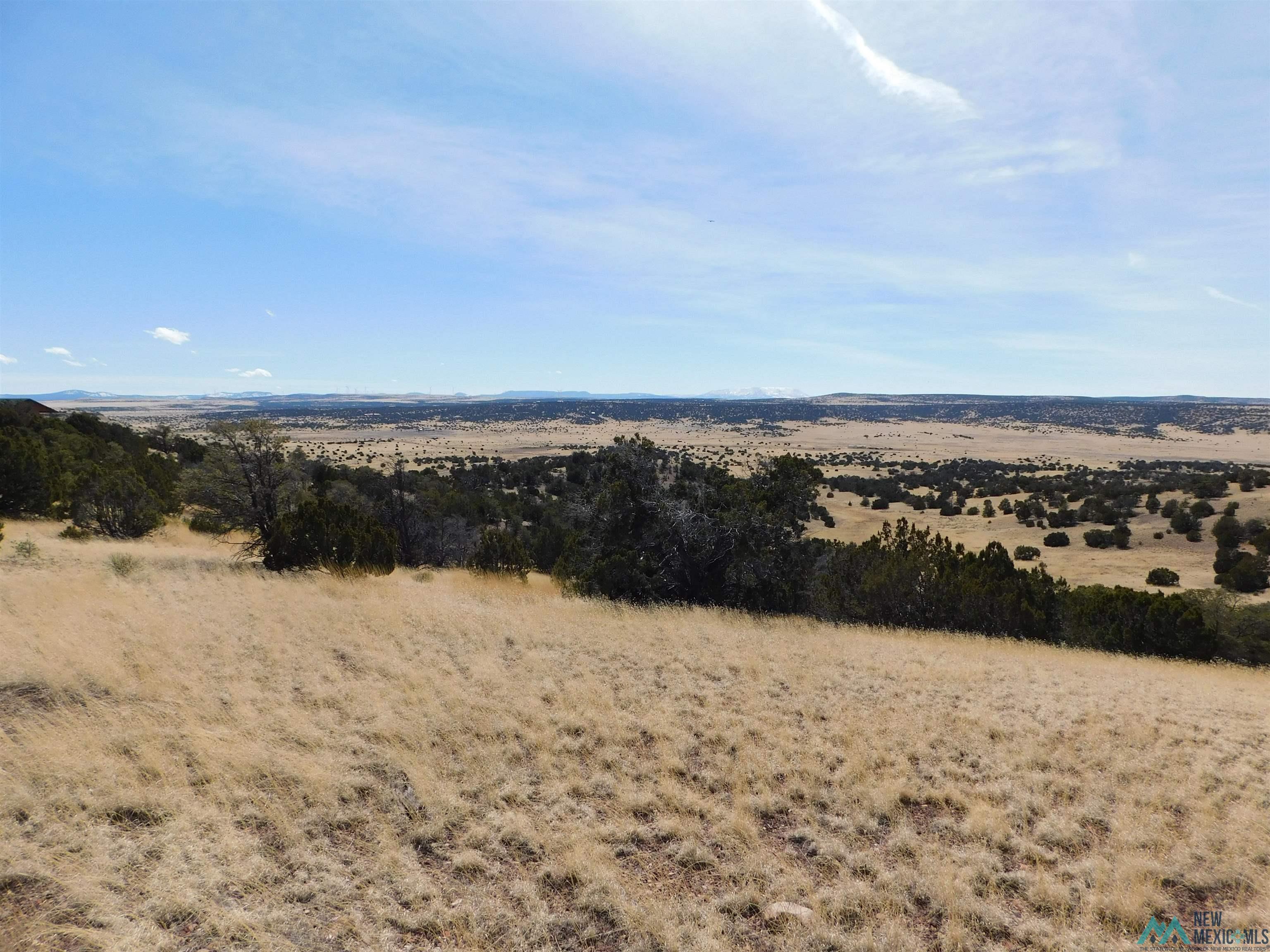 274 Deer Circle, Quemado, New Mexico image 6