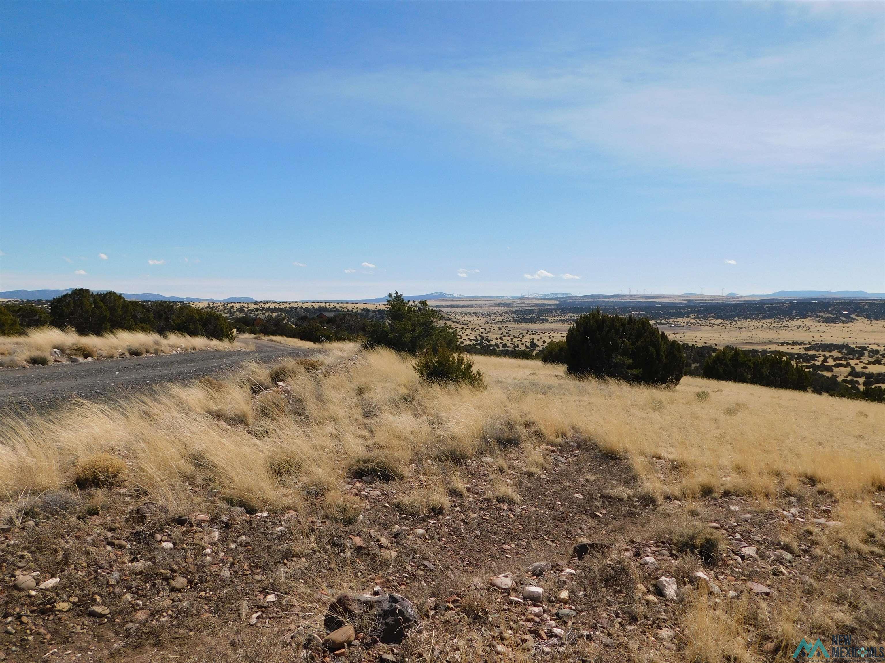 274 Deer Circle, Quemado, New Mexico image 13