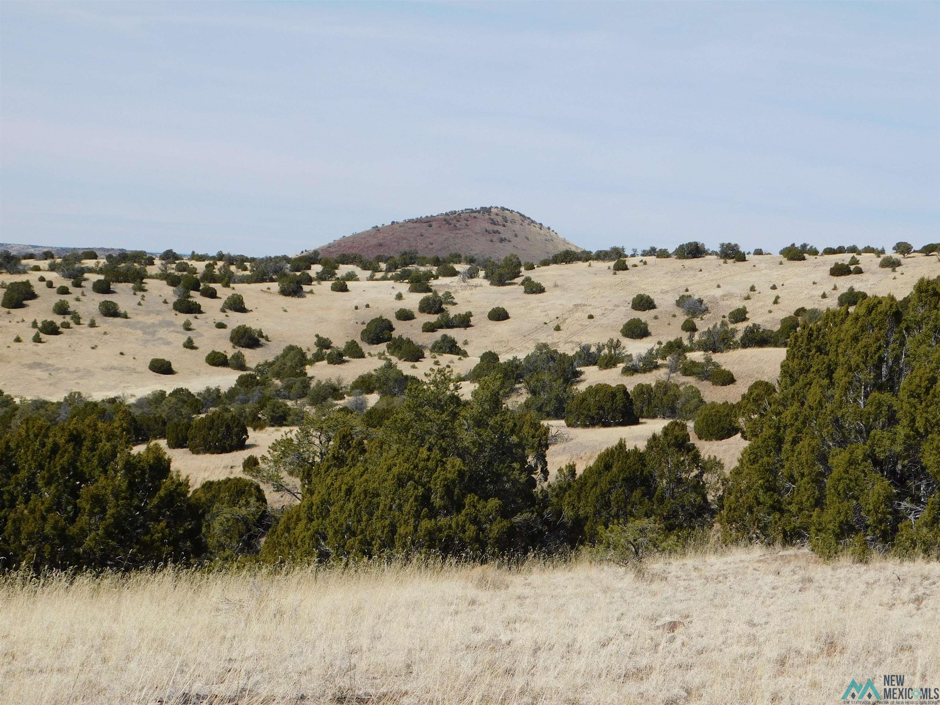 274 Deer Circle, Quemado, New Mexico image 4