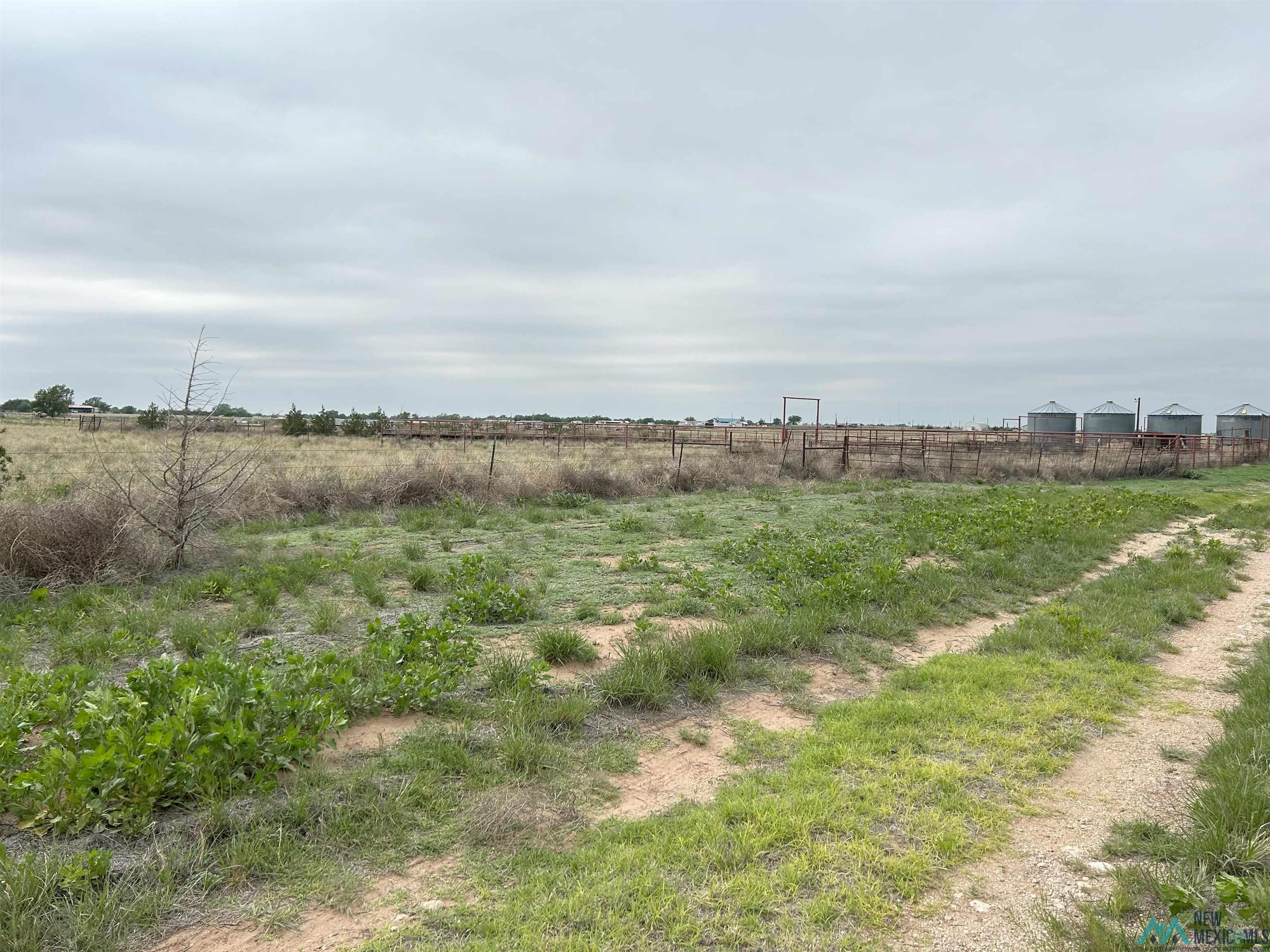 1742 S Roosevelt Road 8 1/2 St, Portales, Texas image 22