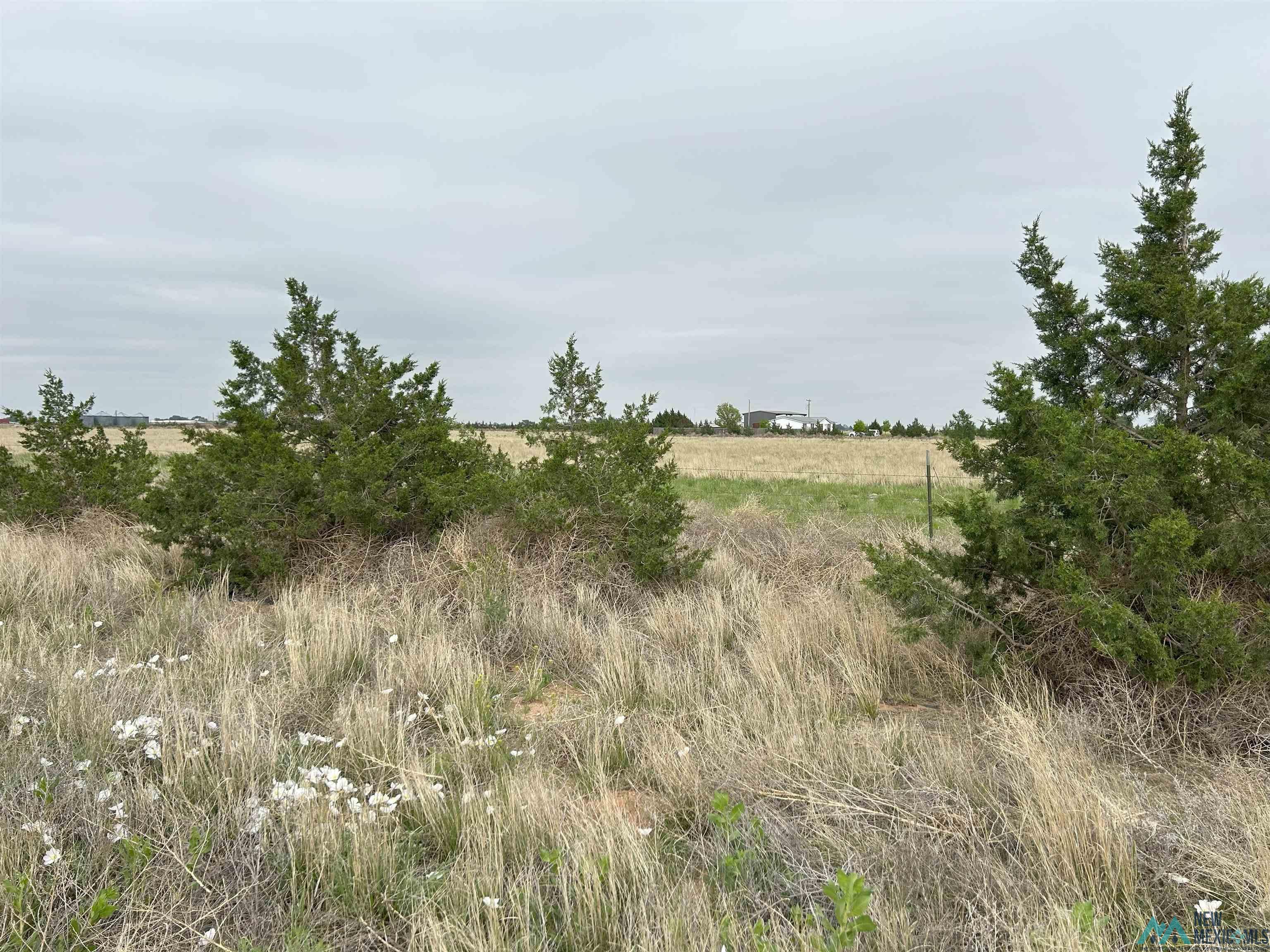 1742 S Roosevelt Road 8 1/2 St, Portales, Texas image 20