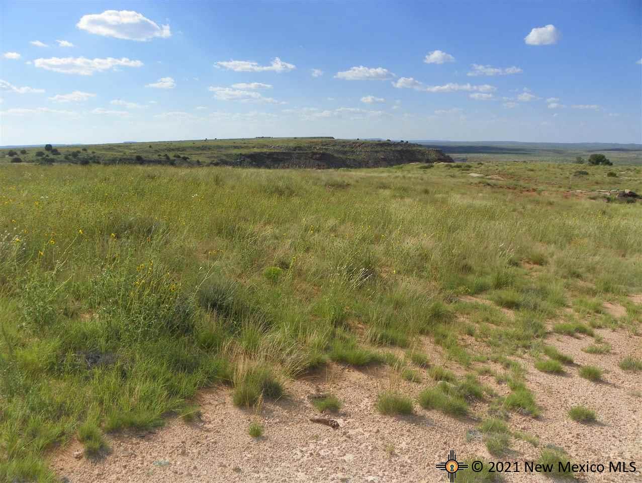 6G Lot Quay Road Ai, Tucumcari, New Mexico image 2