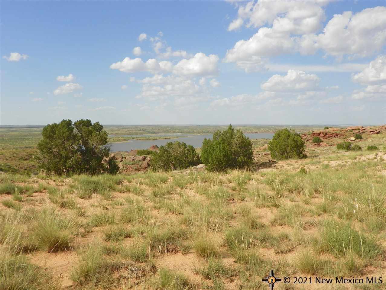 6G Lot Quay Road Ai, Tucumcari, New Mexico image 11