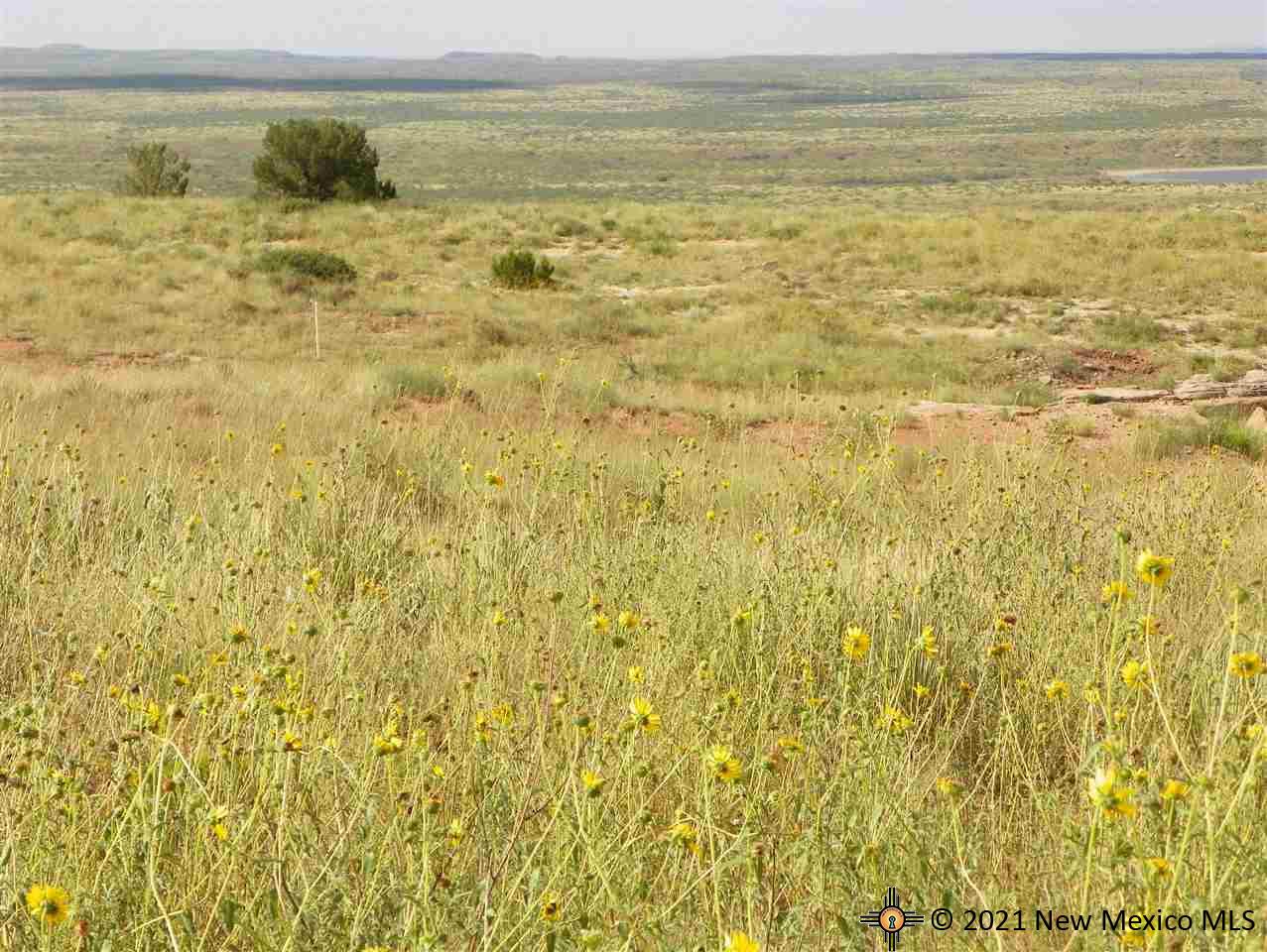 6G Lot Quay Road Ai, Tucumcari, New Mexico image 8