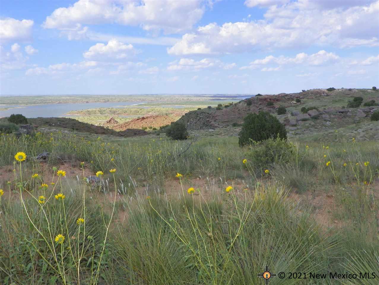 6G Lot Quay Road Ai, Tucumcari, New Mexico image 9