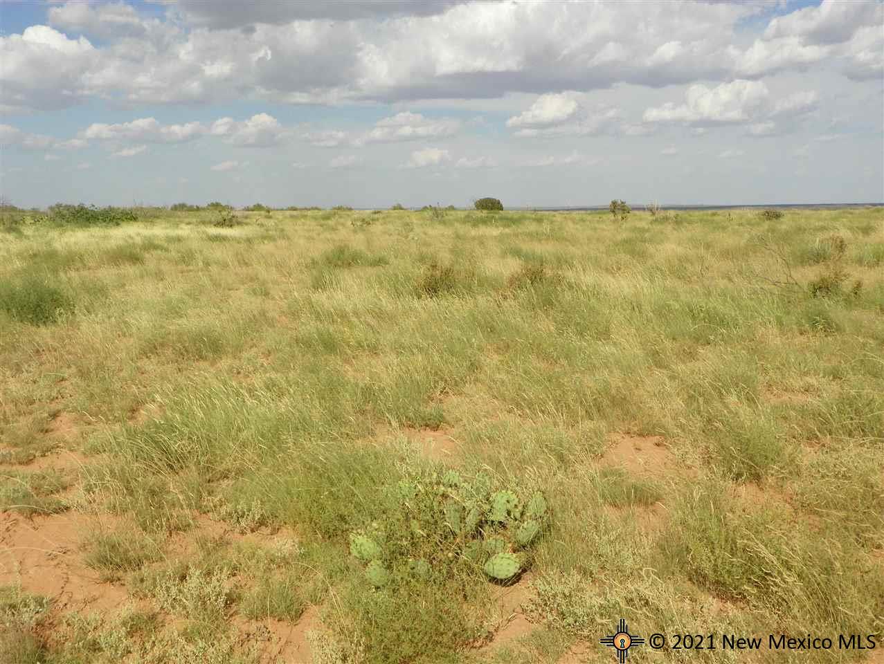 6G Lot Quay Road Ai, Tucumcari, New Mexico image 16