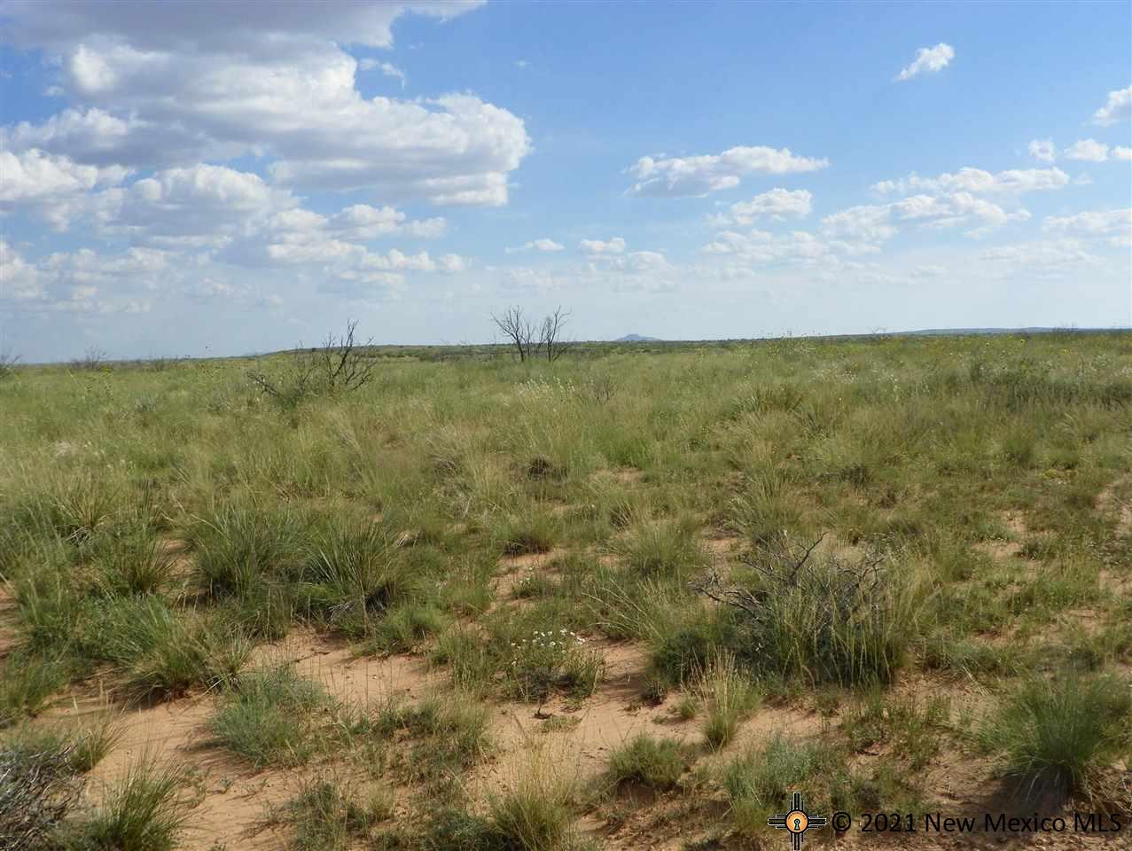 6G Lot Quay Road Ai, Tucumcari, New Mexico image 12