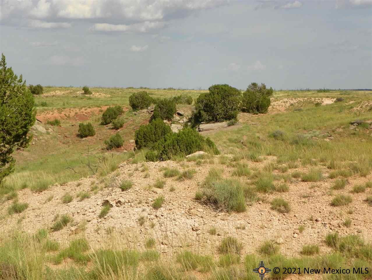 6G Lot Quay Road Ai, Tucumcari, New Mexico image 4