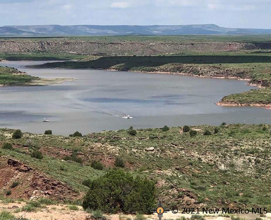 6G Lot Quay Road Ai, Tucumcari, New Mexico image 19