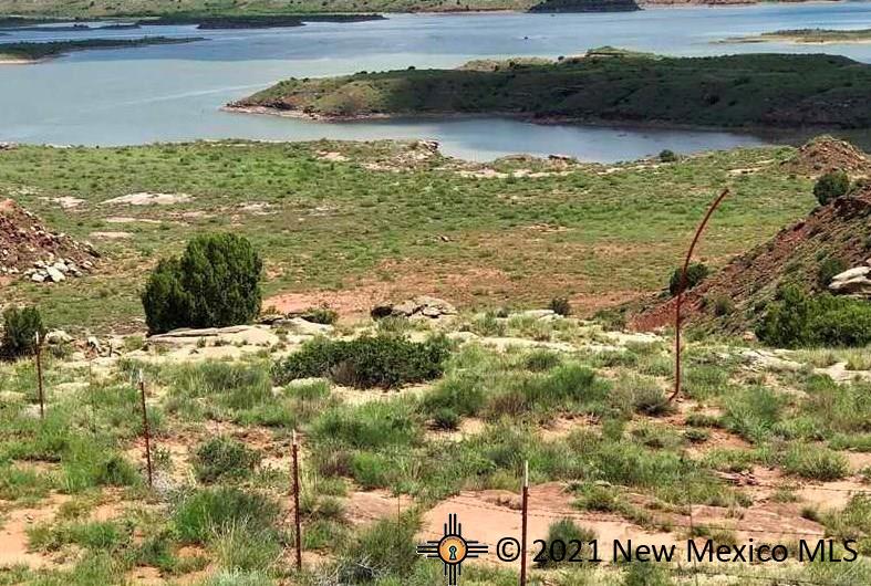 6G Lot Quay Road Ai, Tucumcari, New Mexico image 20