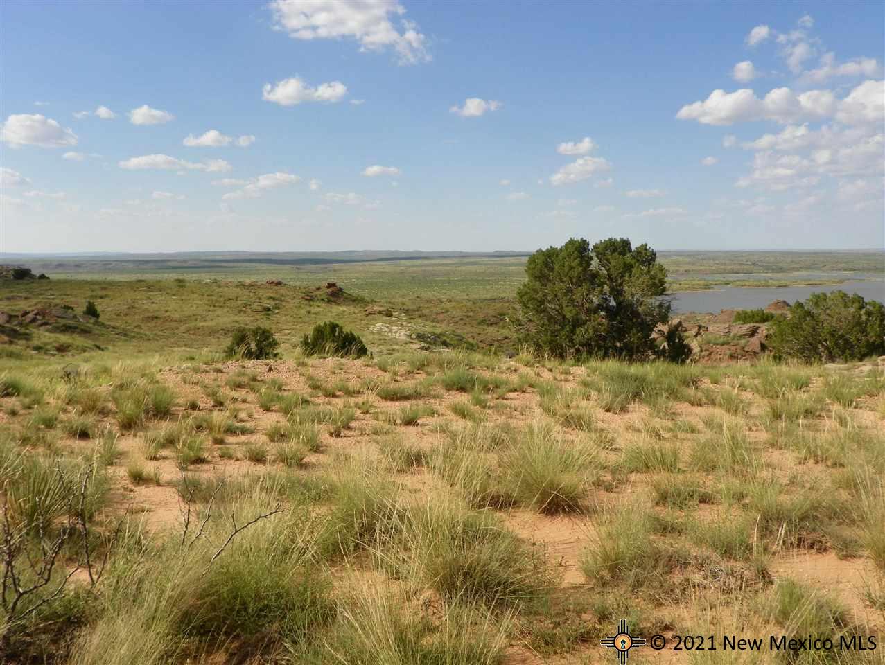 6G Lot Quay Road Ai, Tucumcari, New Mexico image 10