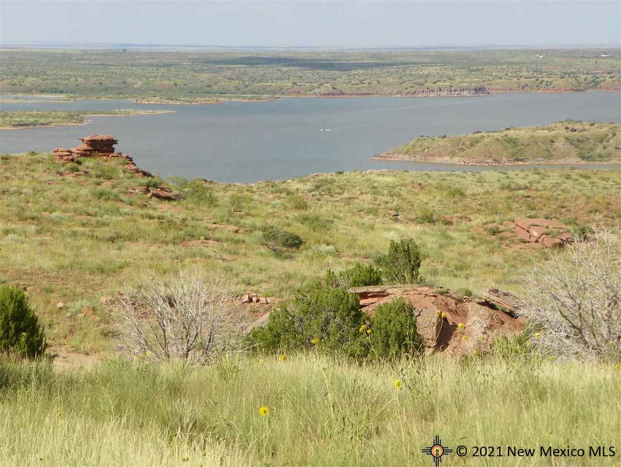 6G Lot Quay Road Ai, Tucumcari, New Mexico image 1