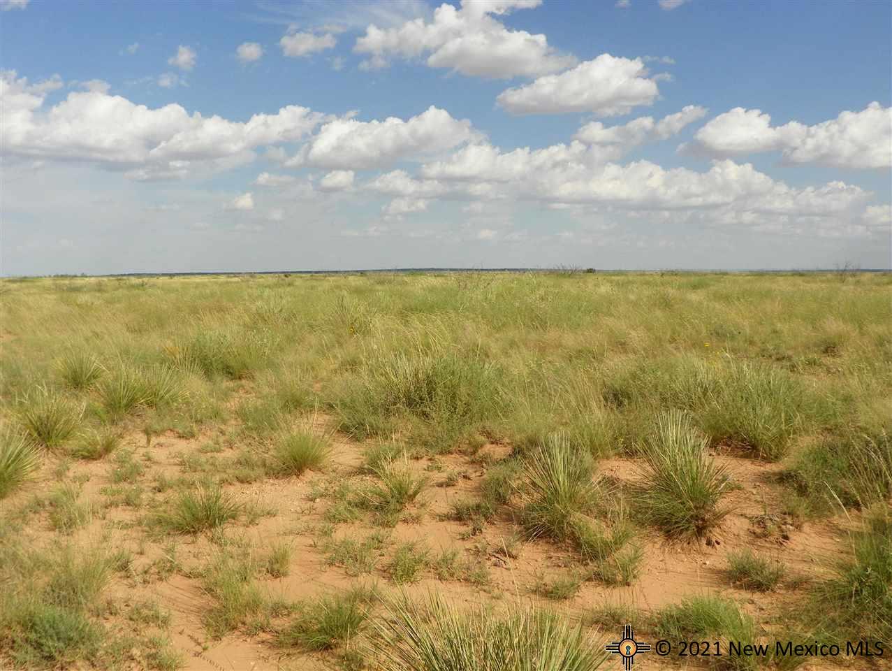 6G Lot Quay Road Ai, Tucumcari, New Mexico image 13