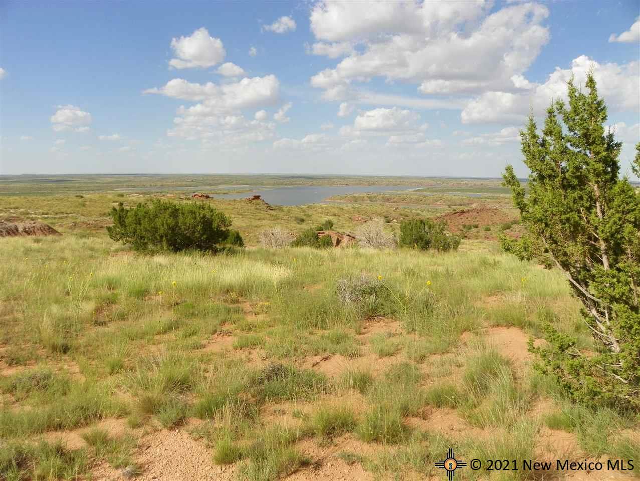 6G Lot Quay Road Ai, Tucumcari, New Mexico image 3