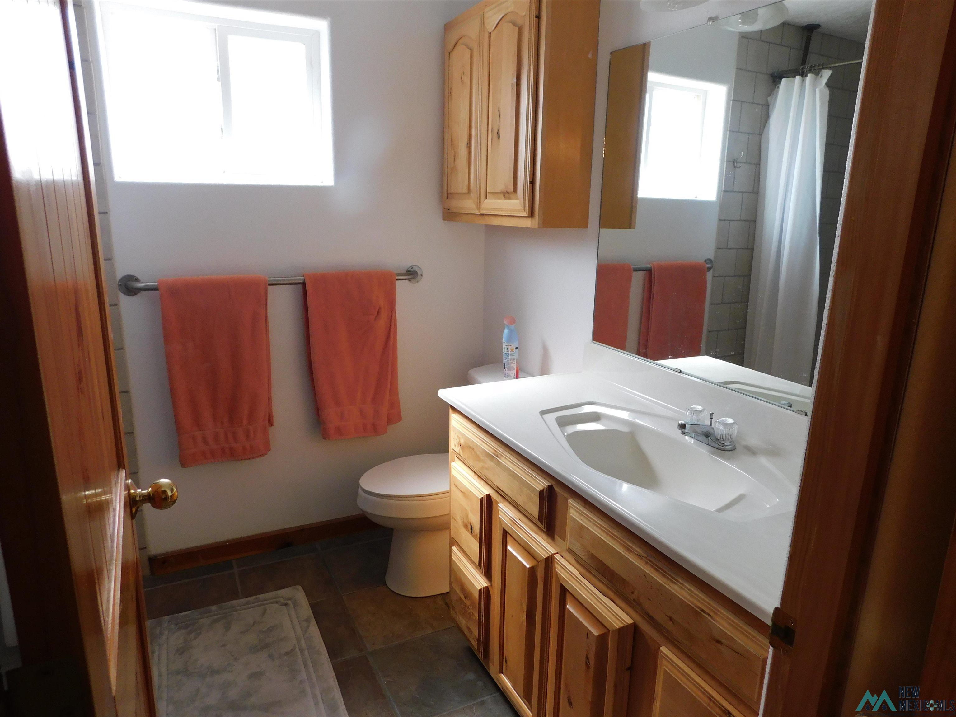 507 Alhambra Street, Elephant Butte, Texas image 7