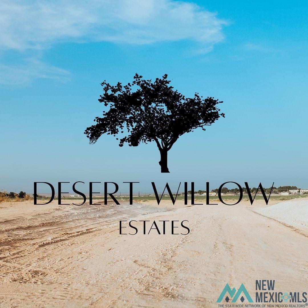 Lot 38 Desert Willow Estates, Artesia, New Mexico image 11