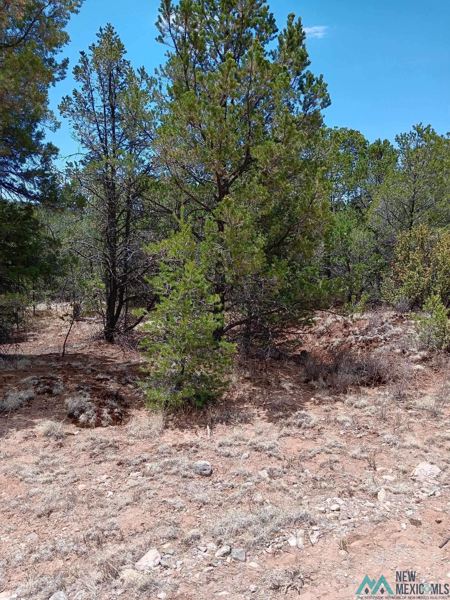 Lot 53 Johnnys Drive, Timberon, New Mexico image 1