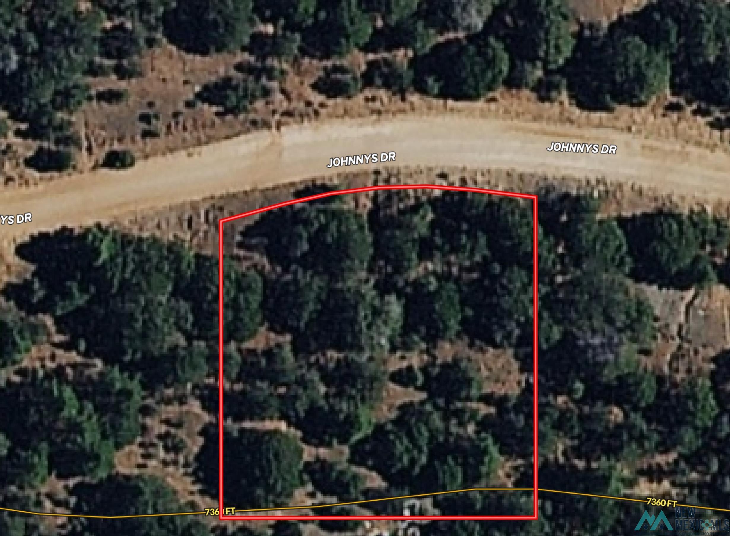 Lot 53 Johnnys Drive, Timberon, New Mexico image 3