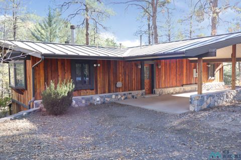 Homes For Sale - 128 Bear Creek Road<br/> Pinos Altos, NM 88053