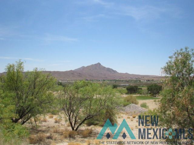 122 Mesa Grande Street, Elephant Butte, Texas image 2