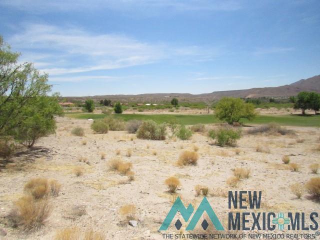 122 Mesa Grande Street, Elephant Butte, Texas image 3