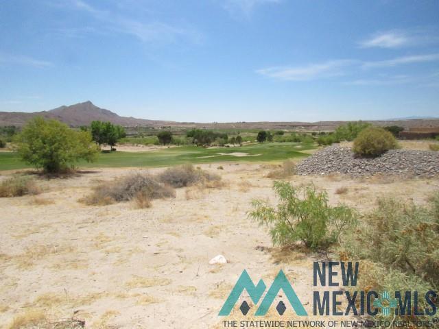122 Mesa Grande Street, Elephant Butte, Texas image 4