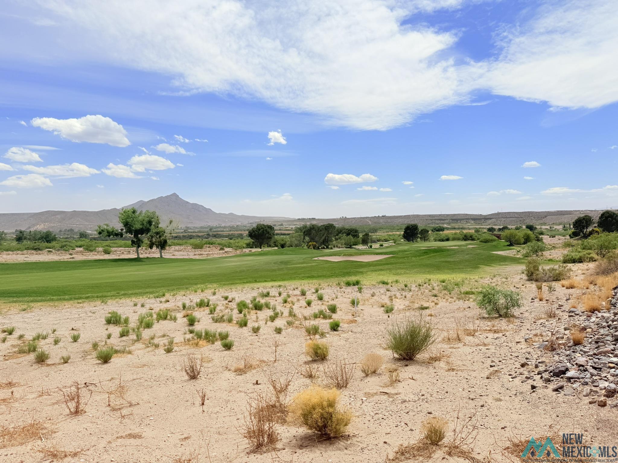 122 Mesa Grande Street, Elephant Butte, Texas image 1