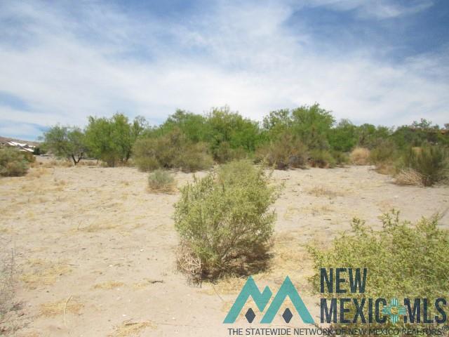 122 Mesa Grande Street, Elephant Butte, Texas image 5