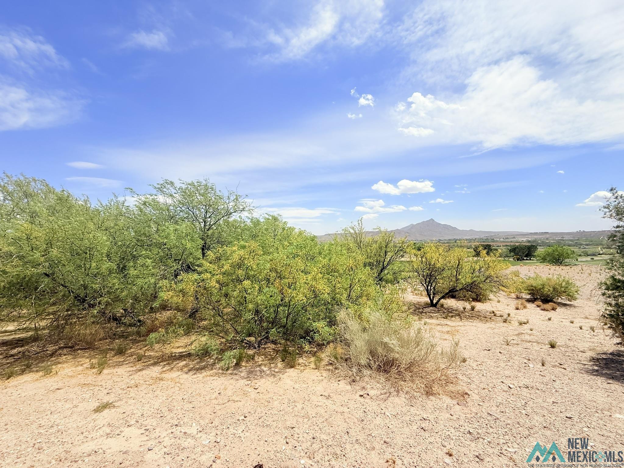 122 Mesa Grande Street, Elephant Butte, Texas image 8
