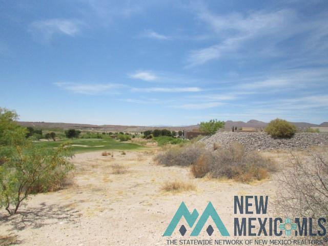 122 Mesa Grande Street, Elephant Butte, Texas image 6