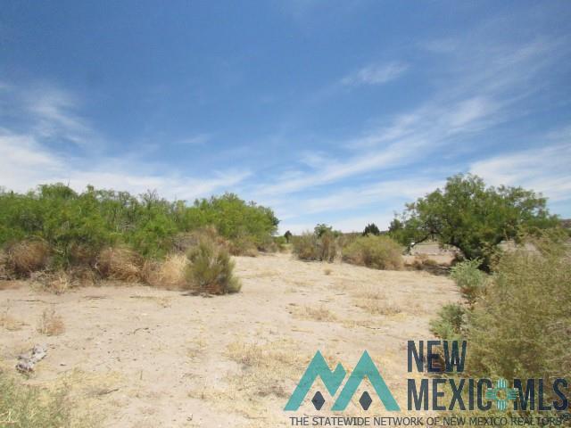 122 Mesa Grande Street, Elephant Butte, Texas image 7