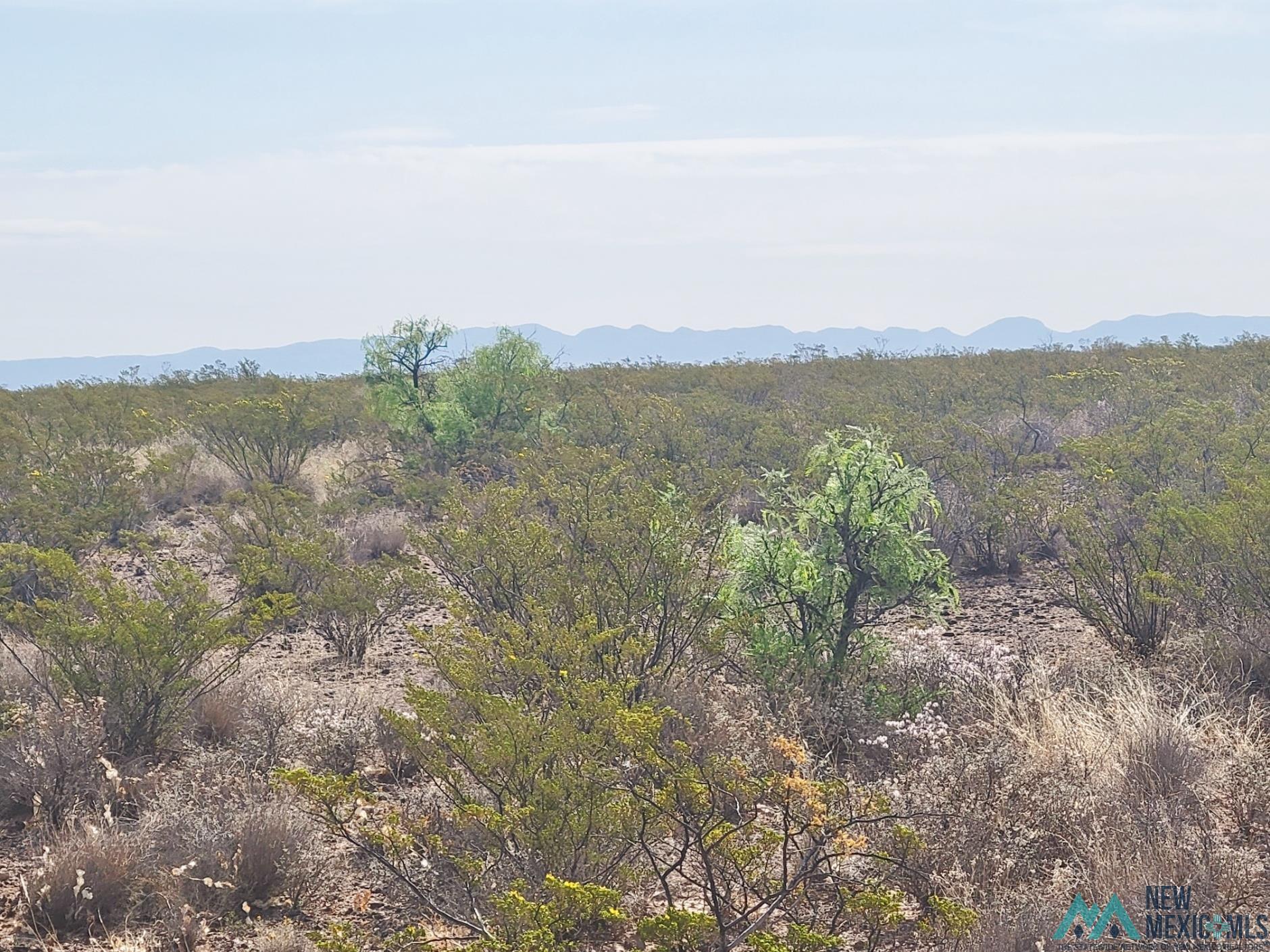 265 Champagne Hills Road, Elephant Butte, New Mexico image 12