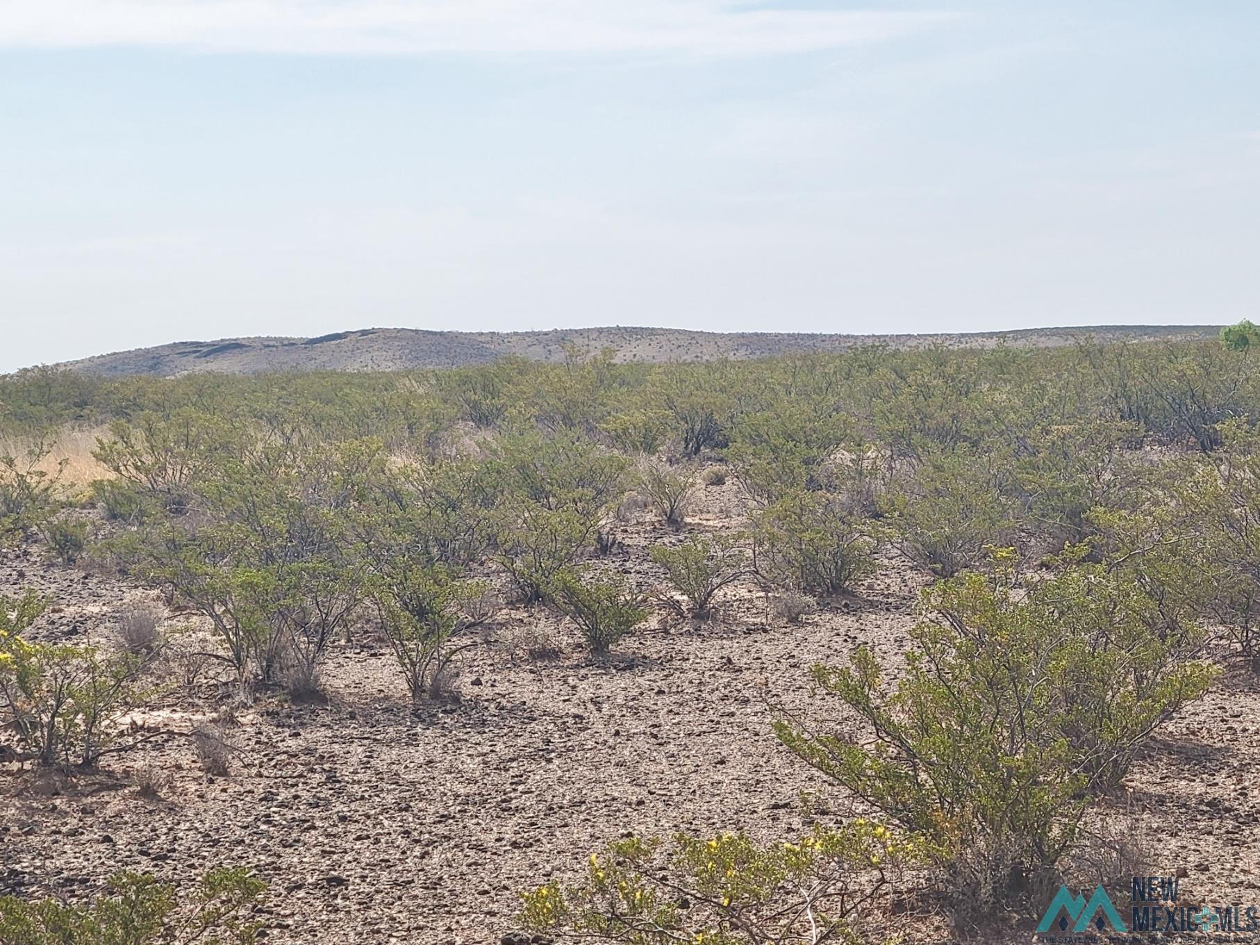 265 Champagne Hills Road, Elephant Butte, New Mexico image 13