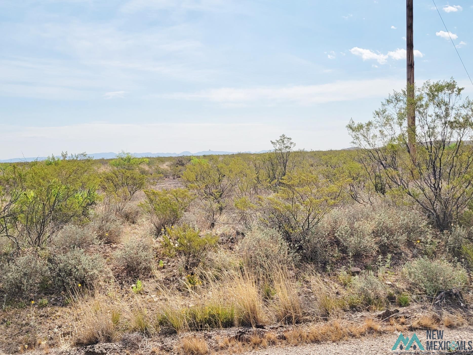 265 Champagne Hills Road, Elephant Butte, New Mexico image 4