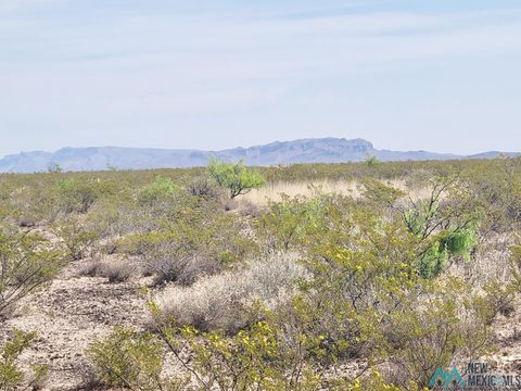 Vacant Land For Sale - 265 Champagne Hills Road<br/> Elephant Butte, NM 87935