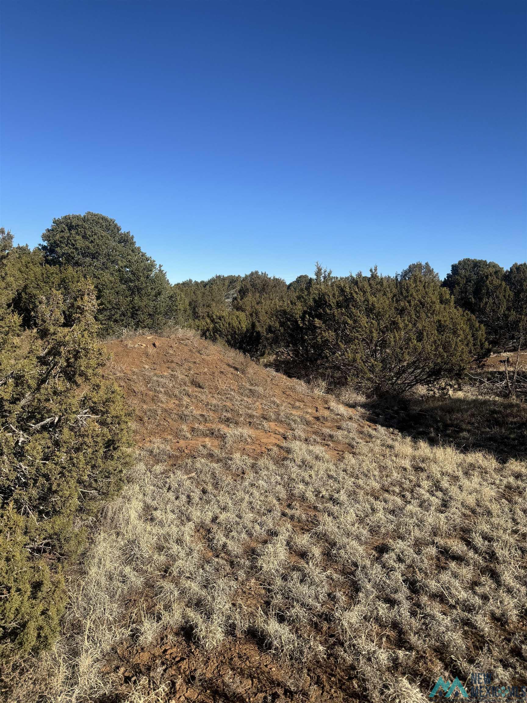 320+/-ac Apache Mesa, Las Vegas, New Mexico image 2