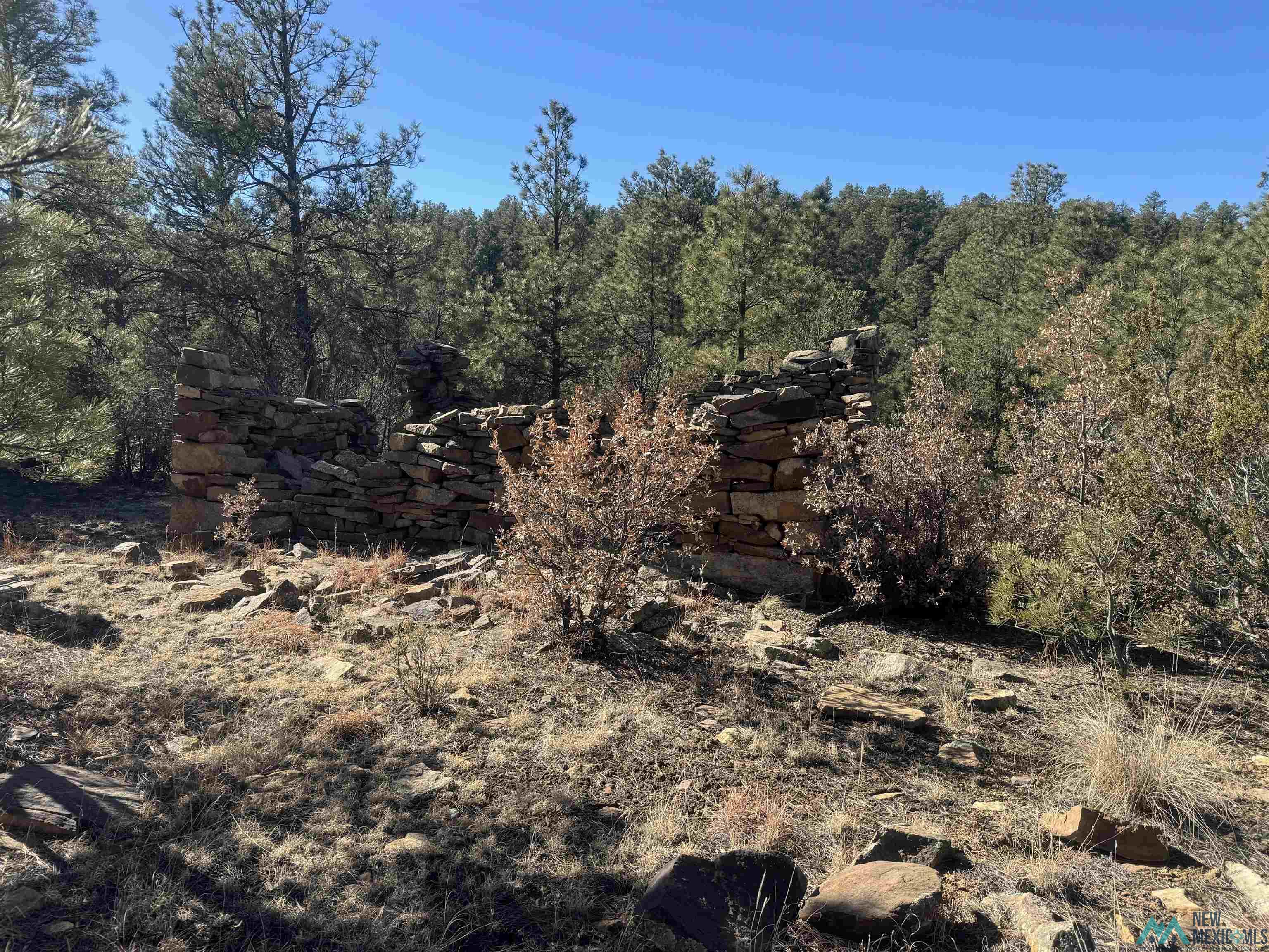 320+/-ac Apache Mesa, Las Vegas, New Mexico image 29