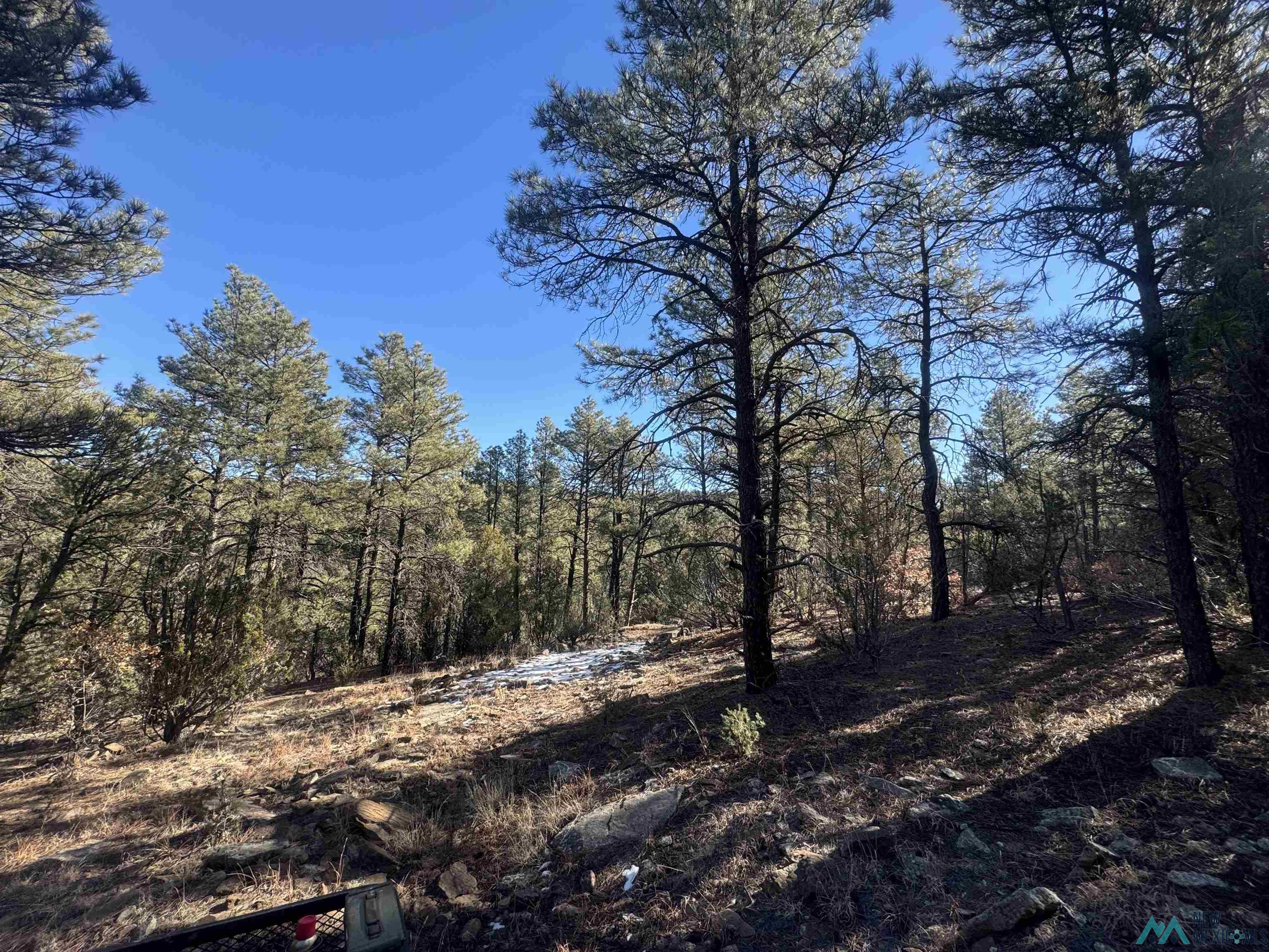 320+/-ac Apache Mesa, Las Vegas, New Mexico image 13