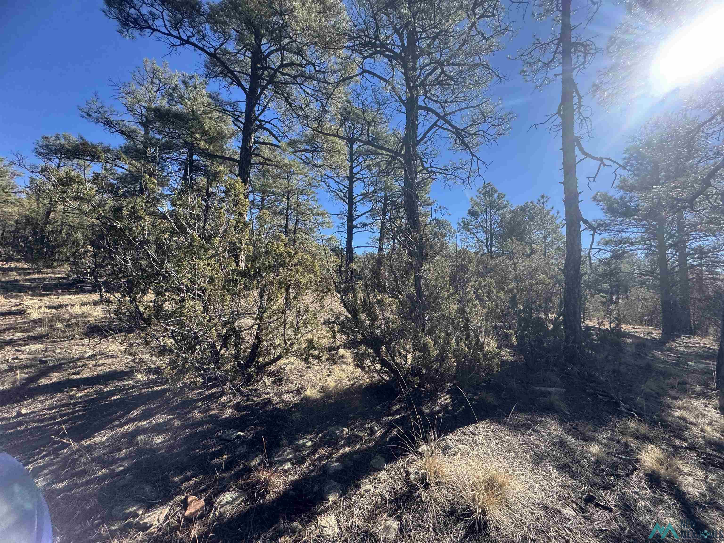 320+/-ac Apache Mesa, Las Vegas, New Mexico image 28